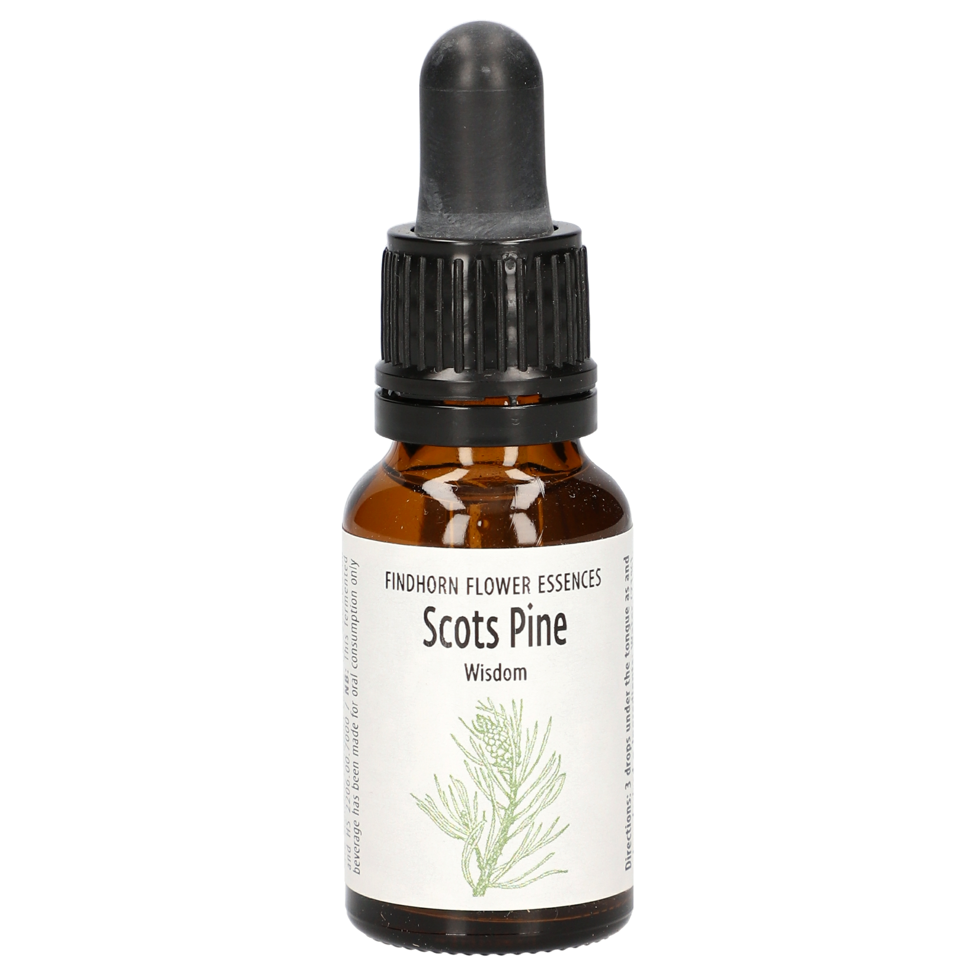 Scots Pine gouttes Scots Pine gouttes