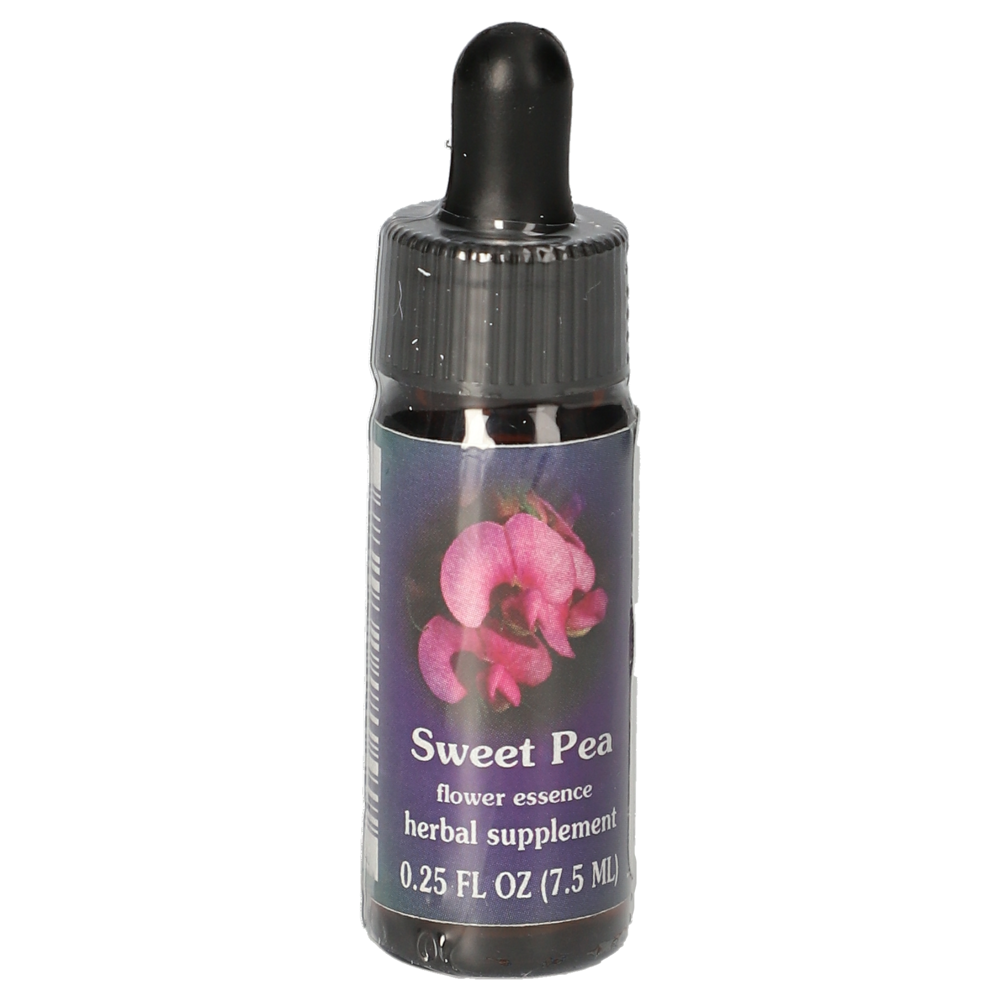 Sweet Pea / Pois vivace gouttes Sweet Pea / Pois vivace gouttes