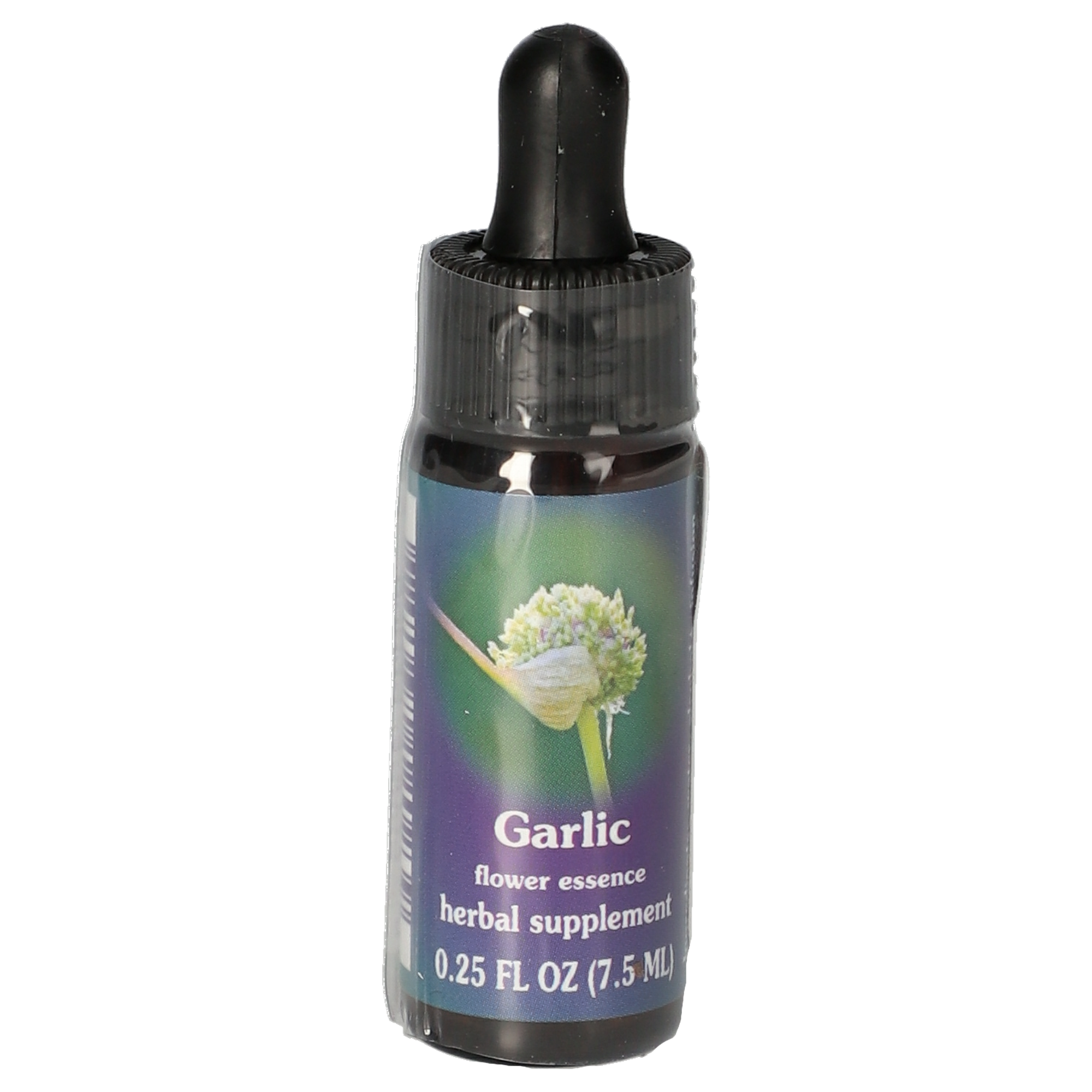 Garlic / Ail gouttes