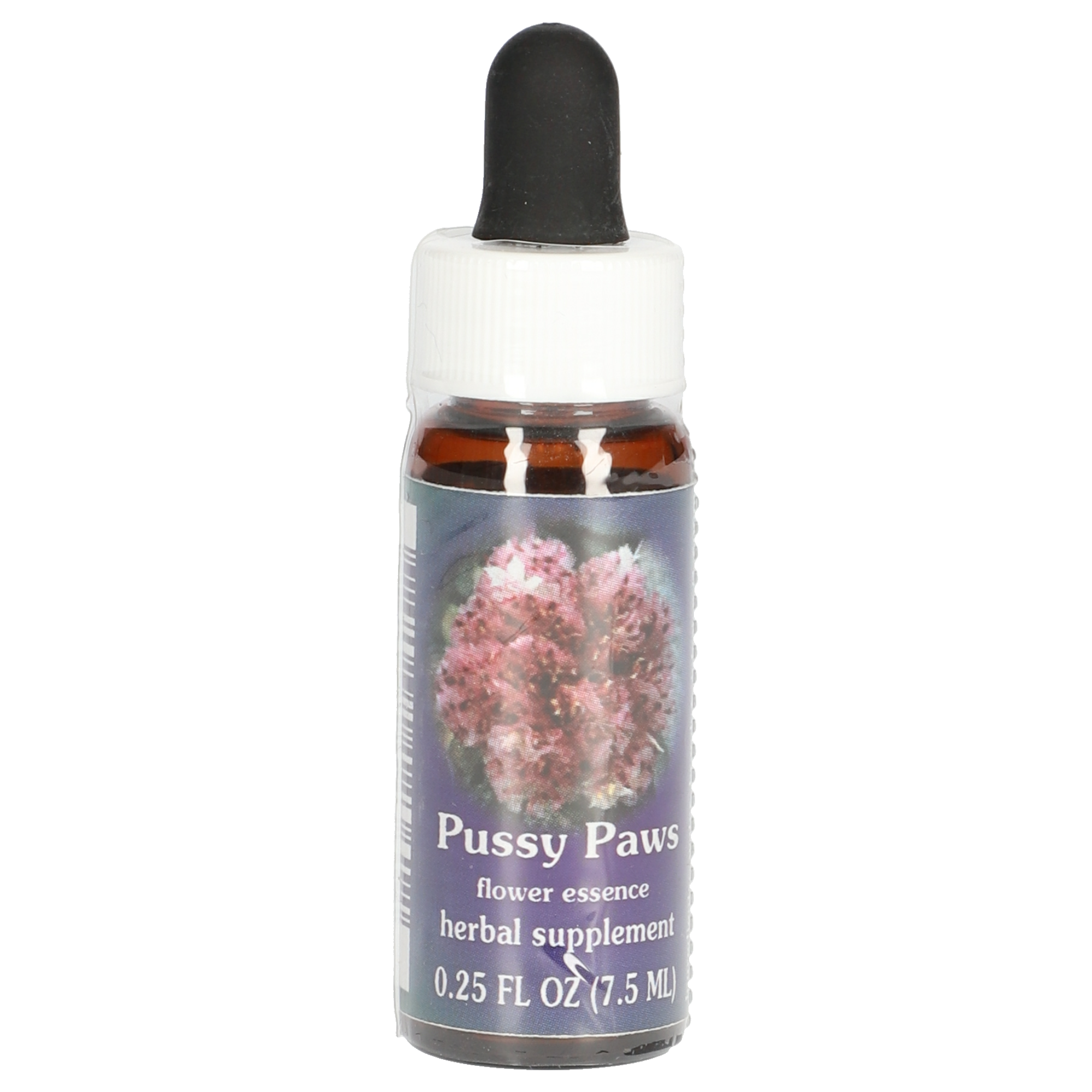 Pussy Paws / Calyptridium umbellatum gouttes