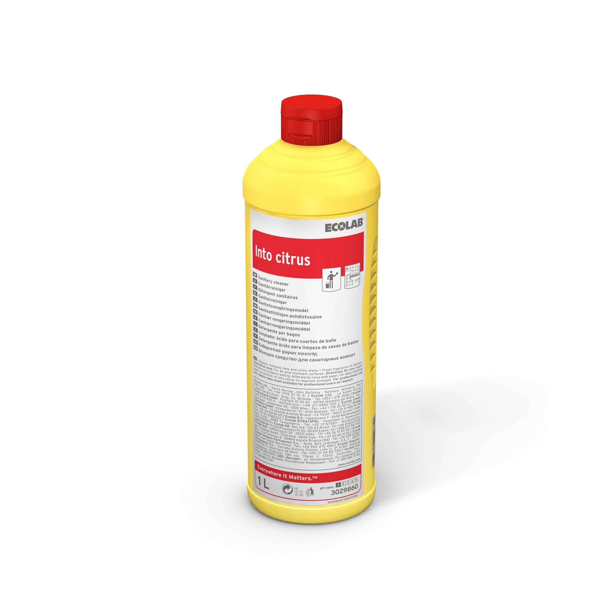 ECOLAB Into citrus Sanitär-Kraftreiniger Ecolab sanitärreiniger