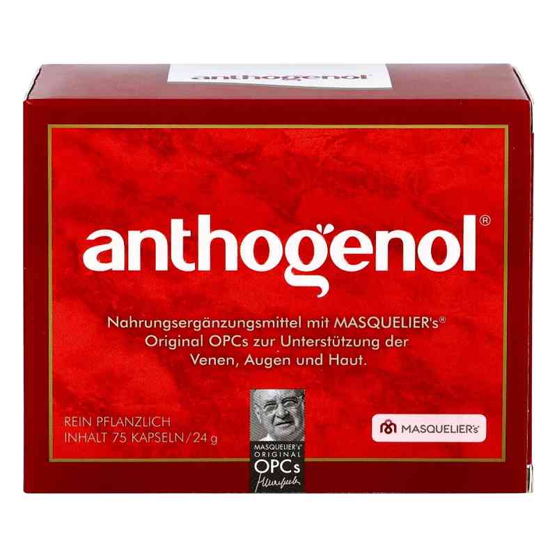 Anthogenol® Kapseln