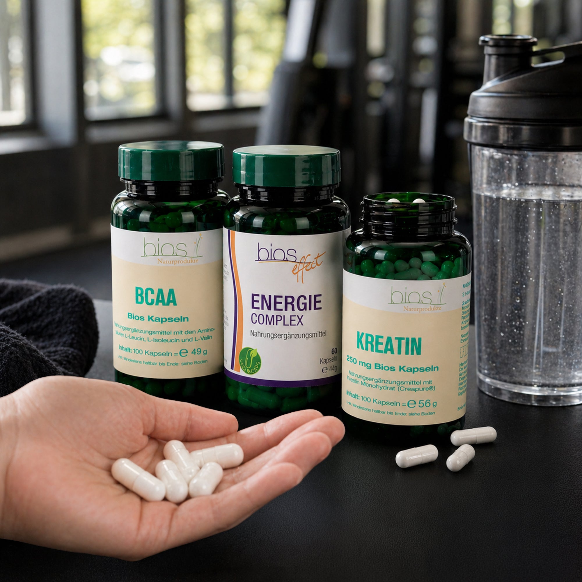 Fitness Bundle
