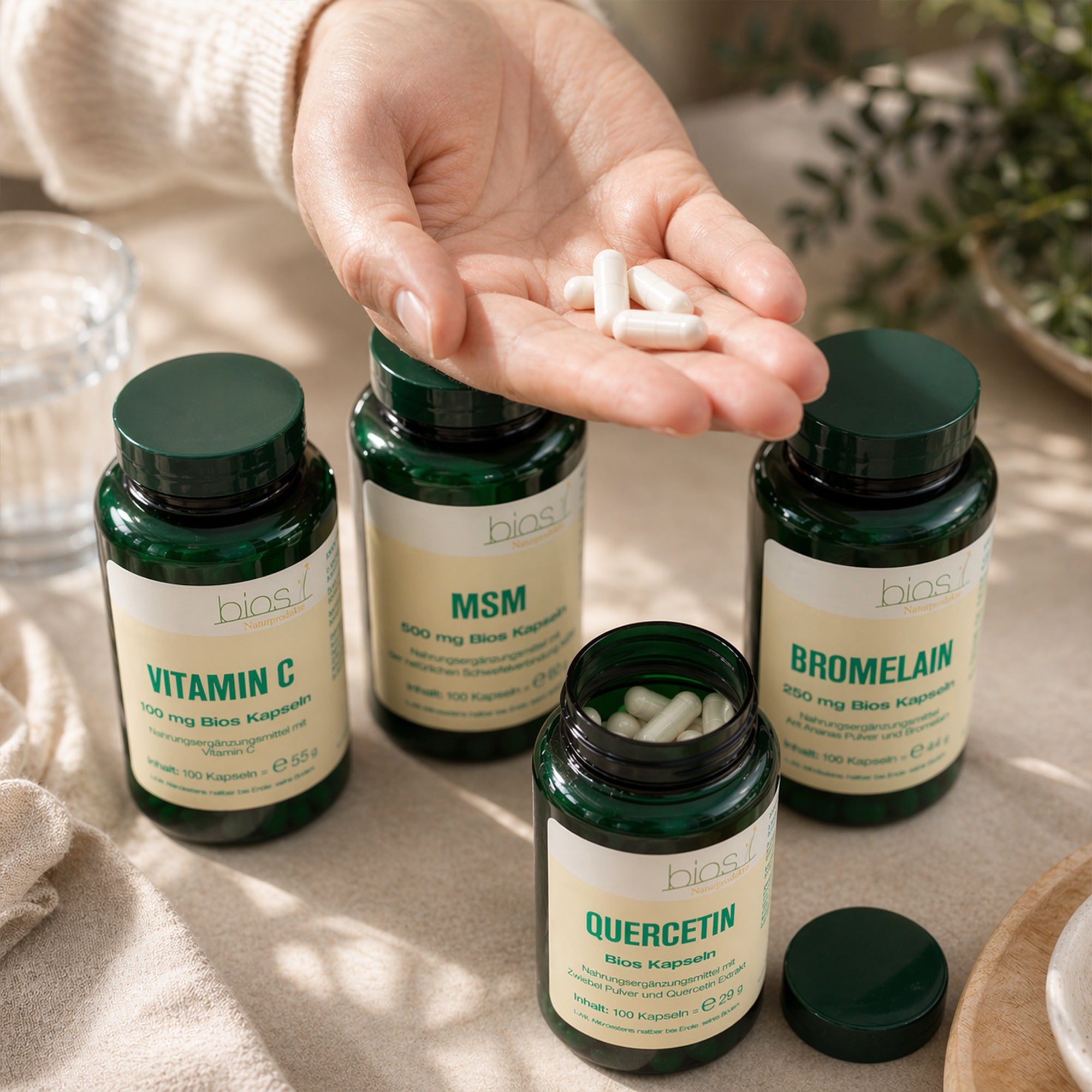 Pollenzeit Begleiter Bundle