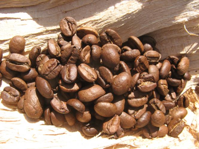 hafenkaffee Hafenkaffee