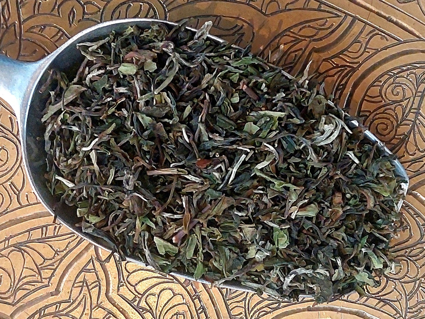 Darjeeling FF SFTGFOP Teesta Valley DJ 53 Darjeeling First Flush