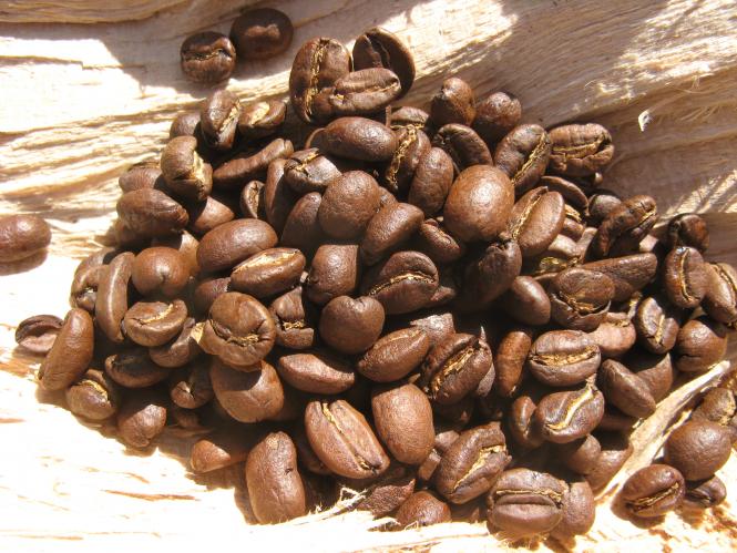 athiopiensidamo Kaffee Haselnuss- Zimt