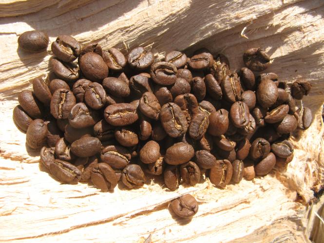 vogtei-kaffee Costa Rica Volcan Azul