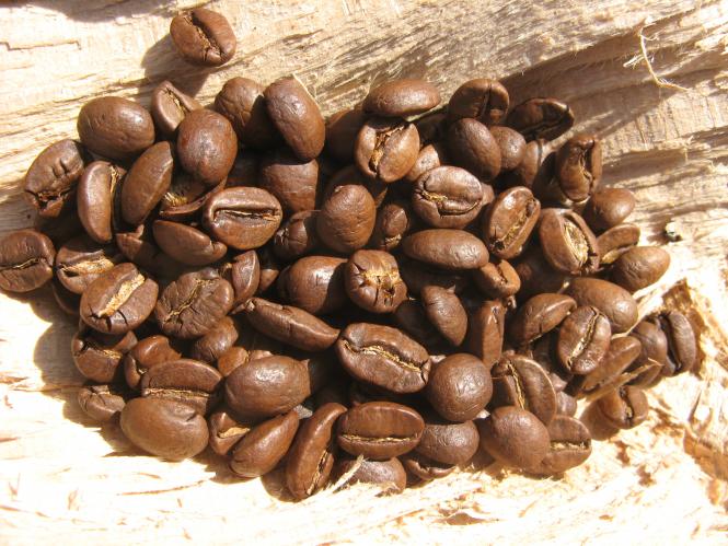 jamaicabluemountain Kaffee Haselnuß