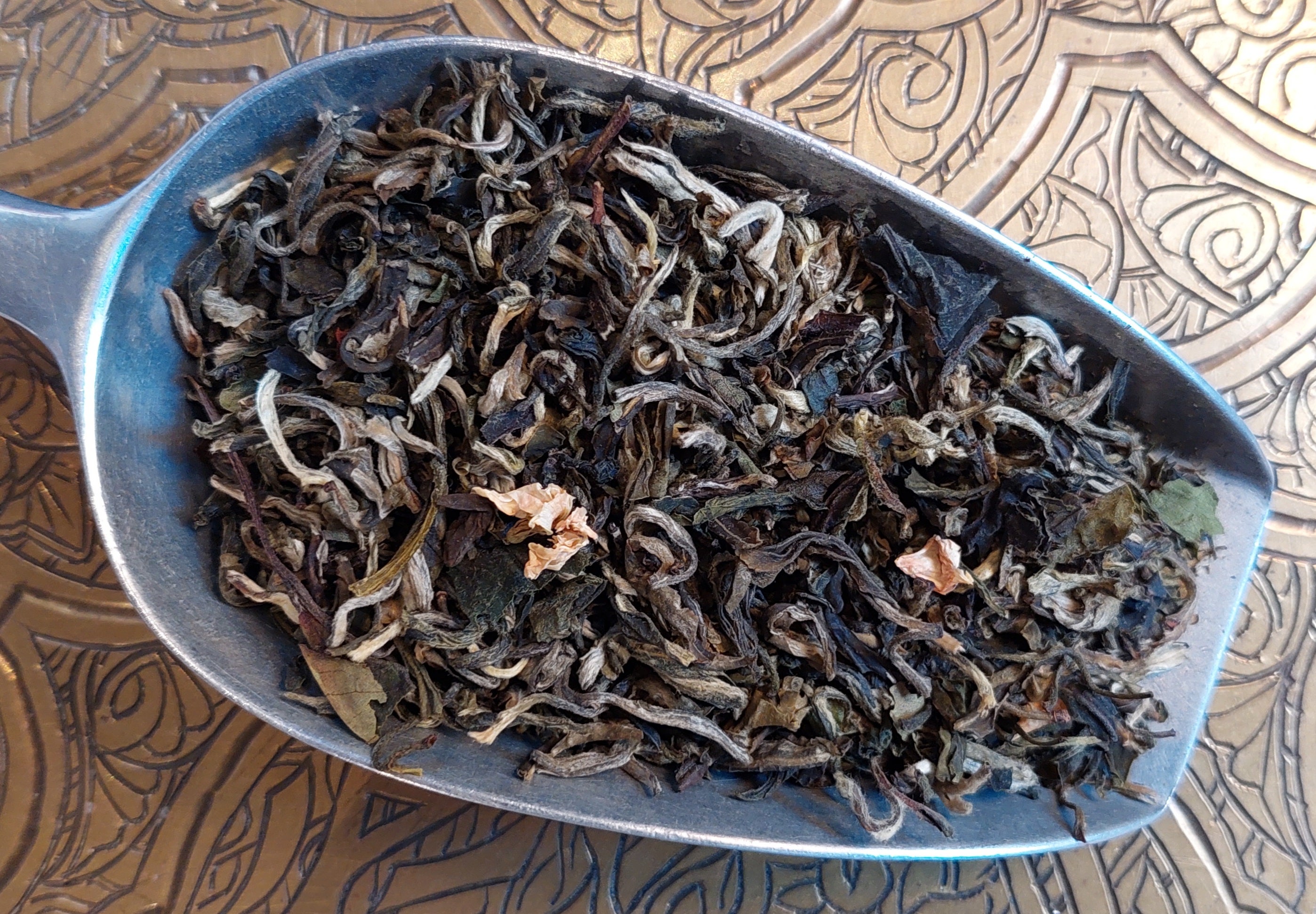 20210722_164524 Silbener Kranich grün Earl Grey